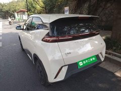 BYD Seagull Glory Edition 305km Vitality Version - ფოტო 3