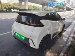 BYD Seagull Glory Edition 305km Vitality Version - ფოტო 5