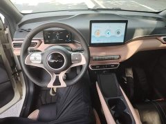 BYD Seagull Glory Edition 305km Vitality Version - ფოტო 8
