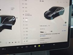 Tesla Model Y Rear-Wheel Drive - ფოტო 11