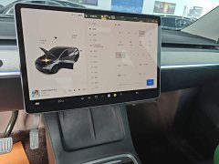 Tesla Model Y Rear-Wheel Drive - ფოტო 12