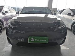 Tesla Model Y Rear-Wheel Drive - ფოტო 2