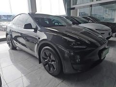 Tesla Model Y Rear-Wheel Drive - ფოტო 3