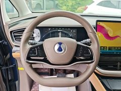 Denza BYD Denza D9 2022 DM-i 1040 Premium - ფოტო 10