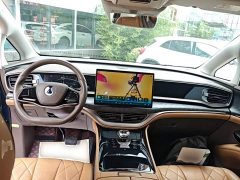 Denza BYD Denza D9 2022 DM-i 1040 Premium - ფოტო 9