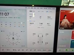 Li Auto L8 Max - ფოტო 11