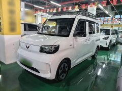 Wuling Zhiguang New Energy 305km Aspiring Edition - ფოტო 1