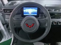 Wuling Zhiguang New Energy 305km Aspiring Edition - ფოტო 11