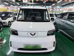 Wuling Zhiguang New Energy 305km Aspiring Edition - ფოტო 3