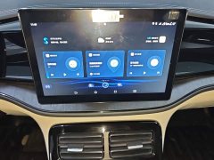 BYD Qin PLUS Champion Edition DM-i 55KM Leading - ფოტო 12