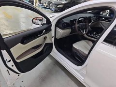 BYD Qin PLUS Champion Edition DM-i 55KM Leading - ფოტო 15