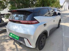 BYD Seagull Vitality Edition - ფოტო 6