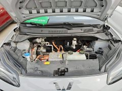 Wuling Binguo PLUS 510km Flagship Four-Seater - ფოტო 20