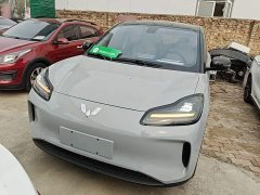 Wuling Binguo PLUS 510km Flagship Four-Seater - ფოტო 3
