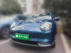 ORA Good Cat Morandi Edition 400km Standard Range Luxury Trim LFP - ფოტო 1