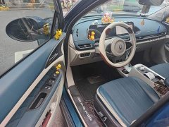 ORA Good Cat Morandi Edition 400km Standard Range Luxury Trim LFP - ფოტო 13