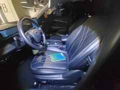 Ford Mustang Mach-E 2021 Standard Range RWD - ფოტო 8