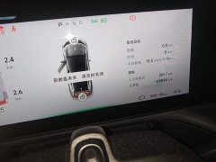 XPeng P7 480N - ფოტო 12