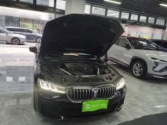 BMW 5 Series 530Li Premier M Sport Package - ფოტო 19