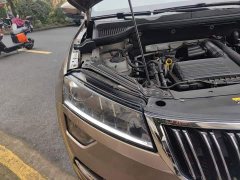 Skoda Corollac TSI280 Luxury - ფოტო 18
