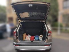 Skoda Corollac TSI280 Luxury - ფოტო 9