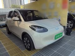Wuling Binguo 203km Comfort Edition - ფოტო 4