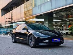 Tesla Model 3 Standard Range RWD Upgrade 3D6 - ფოტო 4