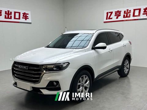 2021 Haval H6 1.5T Automatic Champion Edition - ავტომობილი ჩინეთიდან