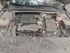BYD Qin PLUS Glory Edition DM-i 55KM Leading - ფოტო 16