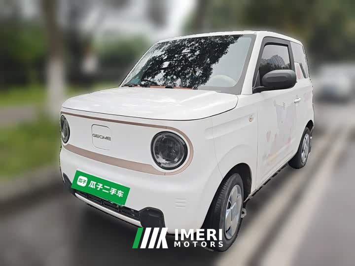 Geely Panda Mini 200km Endurance Edition - ავტომობილი ჩინეთიდან