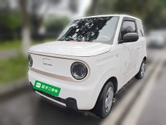 Geely Panda Mini 200km Endurance Edition - ფოტო 1