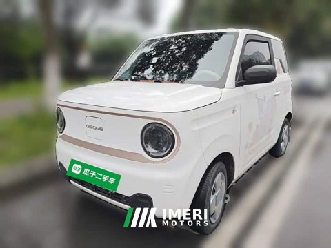 2023 Geely Panda Mini 200km Endurance Edition - ავტომობილი ჩინეთიდან