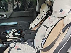 Geely Panda Mini 200km Endurance Edition - ფოტო 11