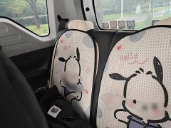 Geely Panda Mini 200km Endurance Edition - ფოტო 13