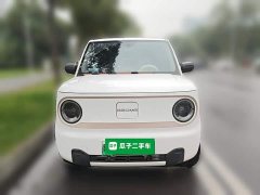 Geely Panda Mini 200km Endurance Edition - ფოტო 2