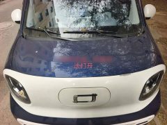 FAW Besturn Xiaoma 222km Linglong Edition - ფოტო 16