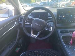 BYD Destroyer 05 Champion Edition DM-i 55KM Luxury - ფოტო 6