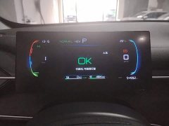 BYD Destroyer 05 Champion Edition DM-i 55KM Luxury - ფოტო 8