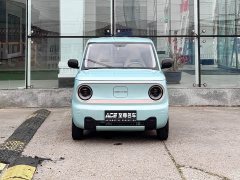Geely Panda Mini 200km Endurance Edition - ფოტო 2