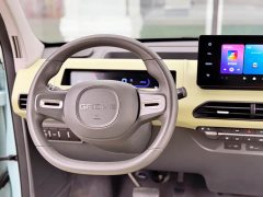 Geely Panda Mini 200km Endurance Edition - ფოტო 9