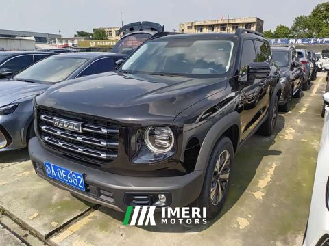 2022 Great Wall Dachshund 1.5T DCT Two-Wheel Drive Border Collie Edition - ავტომობილი ჩინეთიდან