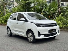 Ledin Mango Raize Mango Fun Mango Joyride Edition 200km - ფოტო 3