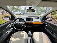 Ledin Mango Raize Mango Fun Mango Joyride Edition 200km - ფოტო 4