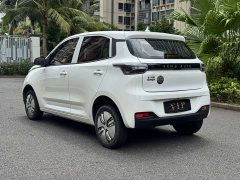 Ledin Mango Raize Mango Fun Mango Joyride Edition 200km - ფოტო 7