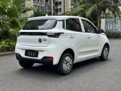 Ledin Mango Raize Mango Fun Mango Joyride Edition 200km - ფოტო 9