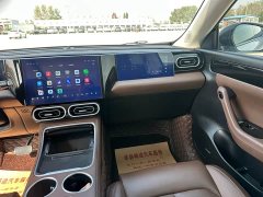 Leapmotor C11 Pure Electric 500 Smart Enjoy Edition - ფოტო 8