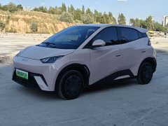 BYD Seagull 305km Vitality Edition - ფოტო 1