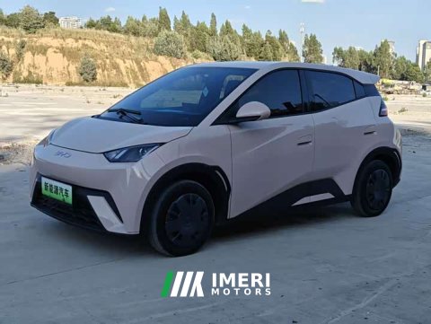2025 BYD Seagull 305km Vitality Edition - ავტომობილი ჩინეთიდან