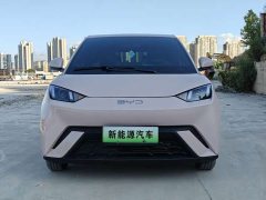 BYD Seagull 305km Vitality Edition - ფოტო 2