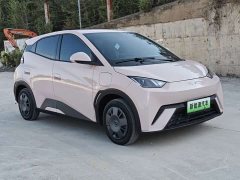 BYD Seagull 305km Vitality Edition - ფოტო 3